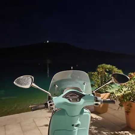 Violeta Hvar