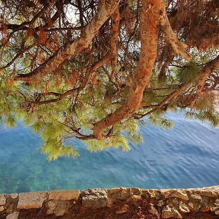 Violeta Hvar Apartment Hvar Town