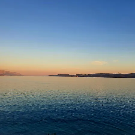 Violeta Hvar *