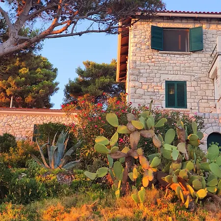 Apartment Violeta Hvar Hvar Town