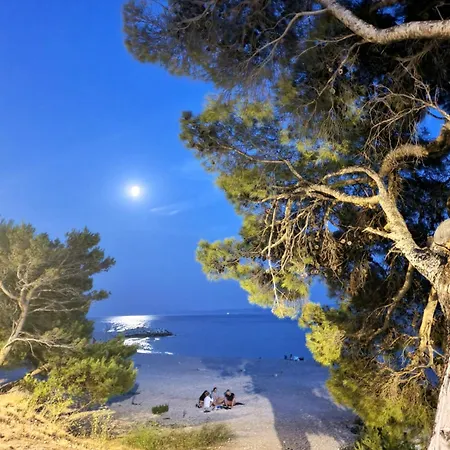 Violeta Hvar * Hvar Town