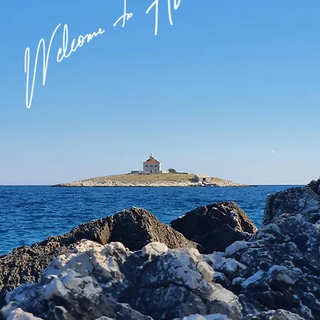 Violeta Hvar