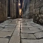 Violeta Hvar *