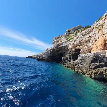 Violeta Hvar