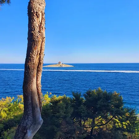 Апартаменты Violeta Hvar Хвар