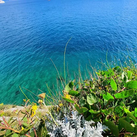 Appartement Violeta Hvar