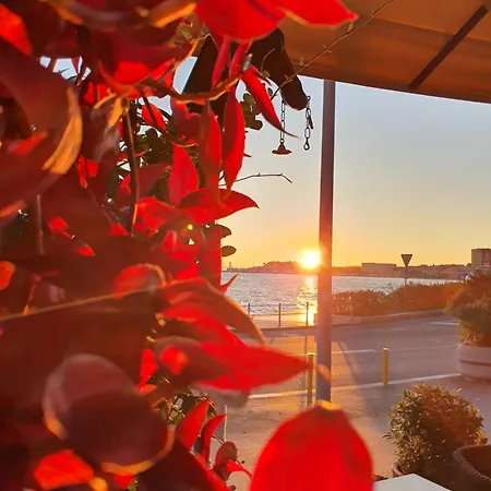 Apartman Violeta Hvar