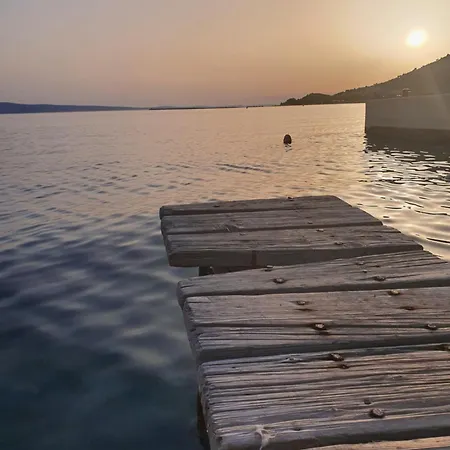 Violeta Hvar *