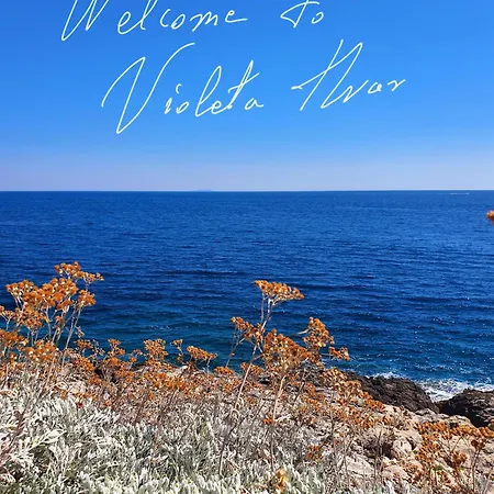 Violeta Hvar Apartman