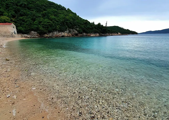 Violeta Hvar *