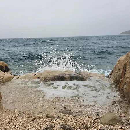 비올레타 아파트 흐바르