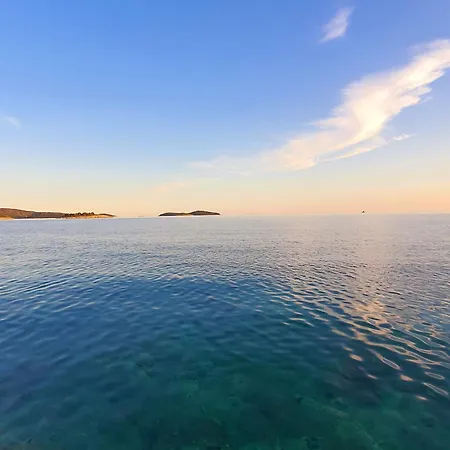 Violeta Hvar