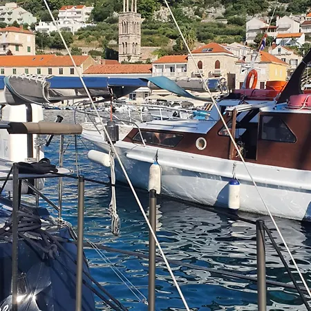 Violeta Hvar
