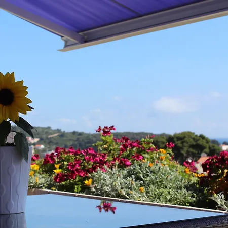 Violeta Hvar Apartment *