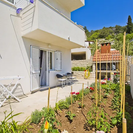 Apartment Violeta Hvar *