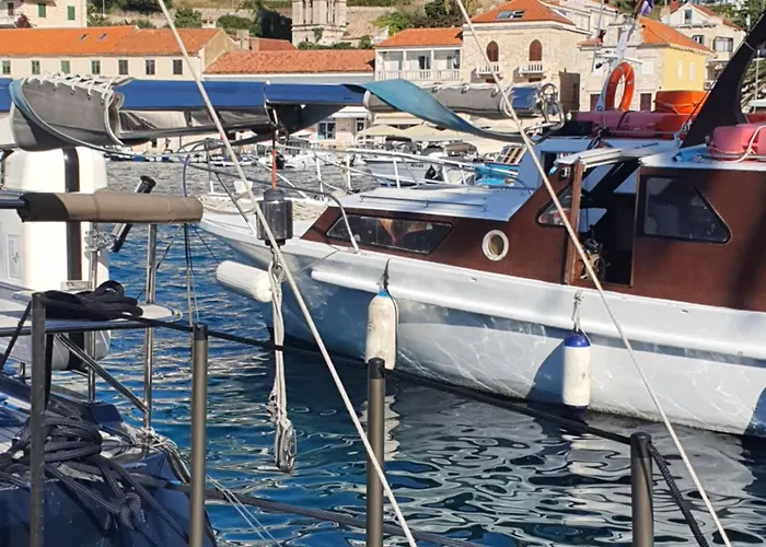 Violeta Hvar